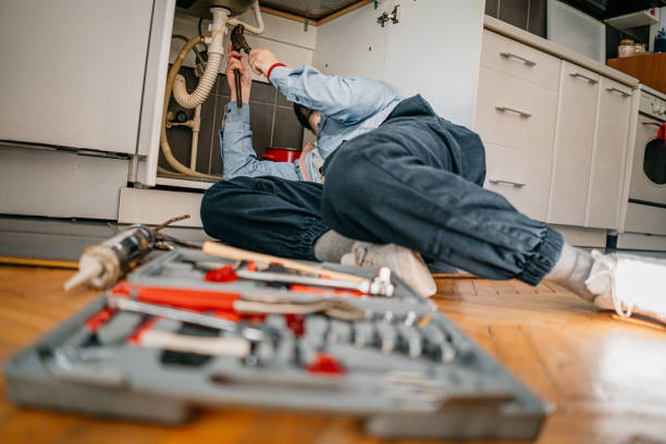 Best Clogged Drain Plumber  in Mcelhattan, PA