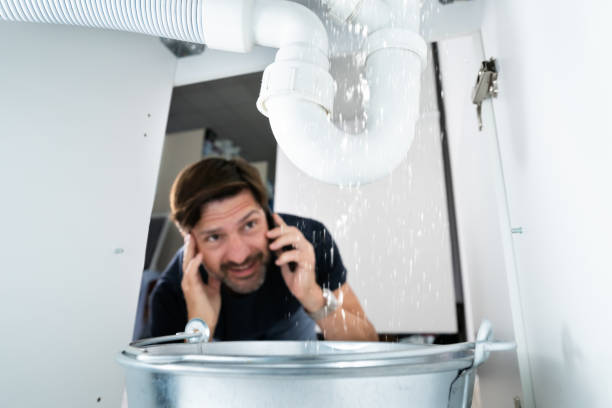 Best Best Plumbers Near Me  in Mcelhattan, PA